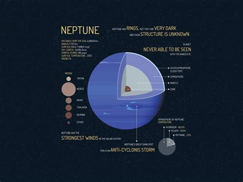 How does The Neptune Wrap fit into your Daily Goals - calories, carbs, nutrition