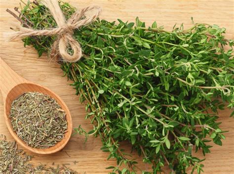 How does Thyme Dried 1 tsp fit into your Daily Goals - calories, carbs, nutrition