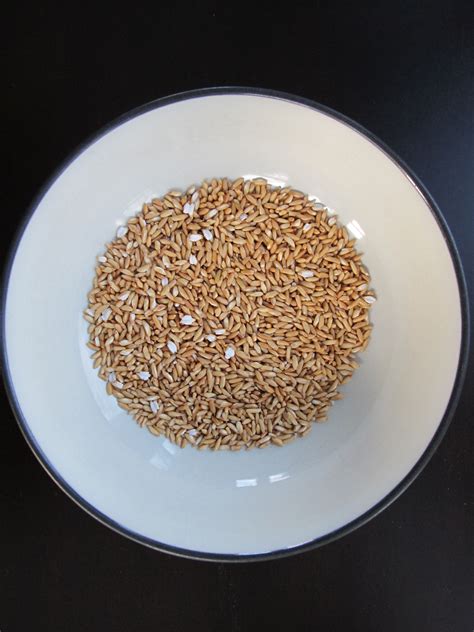 How does Toasted Brown Rice-OCC fit into your Daily Goals - calories, carbs, nutrition