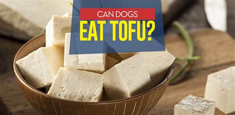 How does Tofu Dogs fit into your Daily Goals - calories, carbs, nutrition