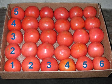 How does Tomato 6x6 Diced 1/4