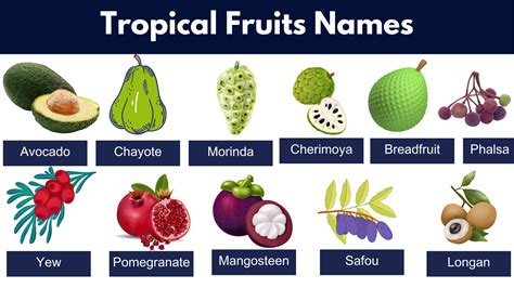 How does Tropical Fruit fit into your Daily Goals - calories, carbs, nutrition