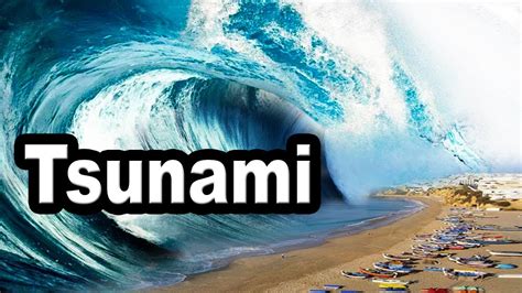 How does Tsunami Roll fit into your Daily Goals - calories, carbs, nutrition