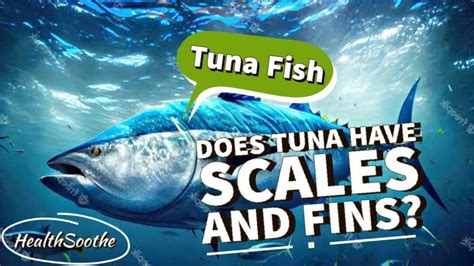 How does Tuna Fold fit into your Daily Goals - calories, carbs, nutrition