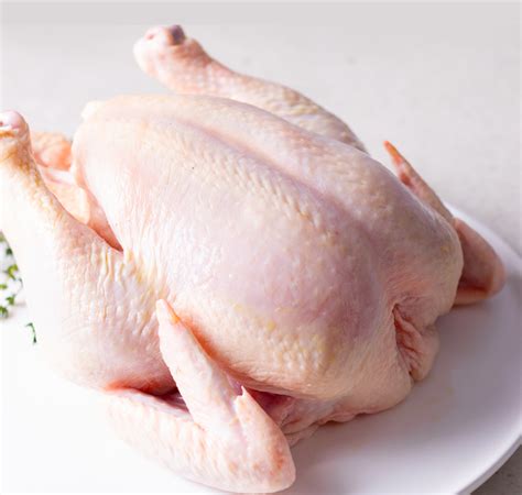 How does Turkey, back, from whole bird, enhanced, meat and skin, raw fit into your Daily Goals - calories, carbs, nutrition