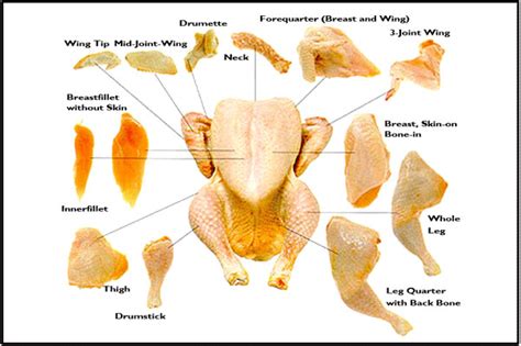 How does Turkey, enhanced, skin from whole (light and dark), raw fit into your Daily Goals - calories, carbs, nutrition