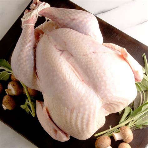 How does Turkey - Back, meat and skin, raw fit into your Daily Goals - calories, carbs, nutrition