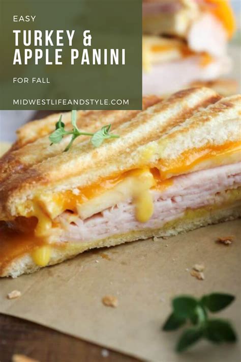 How does Turkey Cheddar Apple Panini (9255.1) fit into your Daily Goals - calories, carbs, nutrition