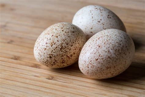 How does Turkey Egg fit into your Daily Goals - calories, carbs, nutrition