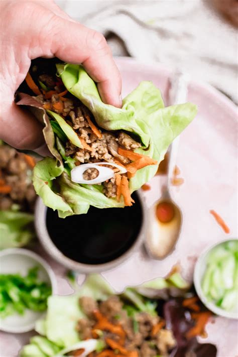 How does Turkey Shiitake Lettuce Wrap (69550.0) fit into your Daily Goals - calories, carbs, nutrition