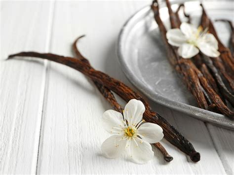 How does Vanilla & Chocolate Cone fit into your Daily Goals - calories, carbs, nutrition