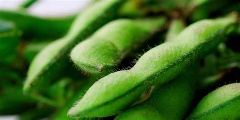 How does Vegetable Edamame (Bison) fit into your Daily Goals - calories, carbs, nutrition