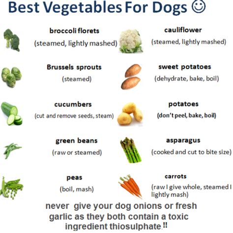 How does Veggie Dog fit into your Daily Goals - calories, carbs, nutrition