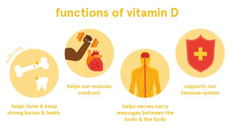 How does Vitamin D Milk fit into your Daily Goals - calories, carbs, nutrition