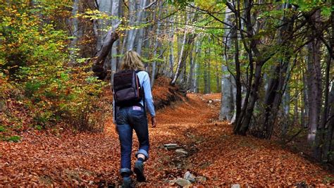 How does Walk in the Woods fit into your Daily Goals - calories, carbs, nutrition