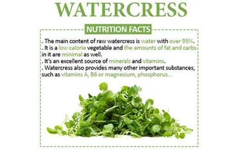 How does Watercress 1 oz fit into your Daily Goals - calories, carbs, nutrition