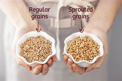 How does Wheat, sprouted fit into your Daily Goals - calories, carbs, nutrition