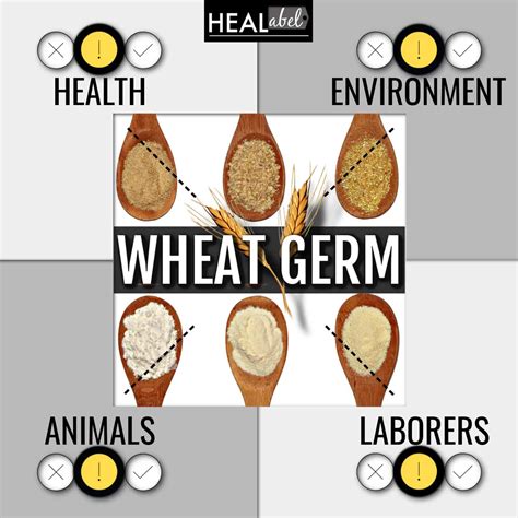 How does Wheat Germ (63359.0) fit into your Daily Goals - calories, carbs, nutrition