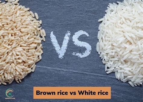 How does White Rice, Long Grain • fit into your Daily Goals - calories, carbs, nutrition