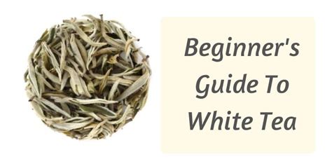 How does White Tea fit into your Daily Goals - calories, carbs, nutrition