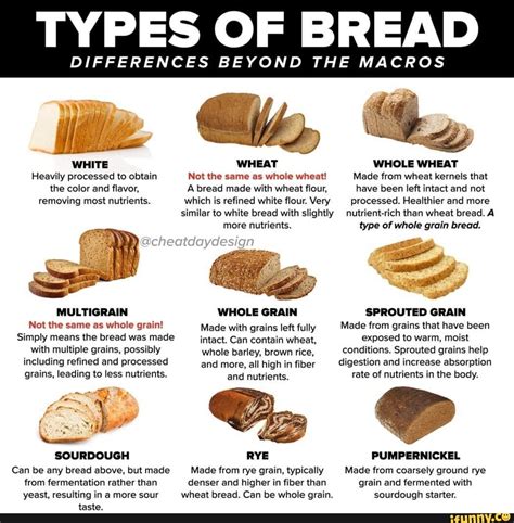 How does Whole Meal Bread fit into your Daily Goals - calories, carbs, nutrition