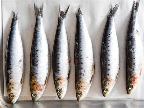 How does Wild Sardines fit into your Daily Goals - calories, carbs, nutrition