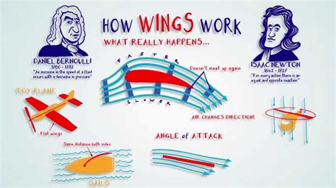 How does Wings & Things Bar fit into your Daily Goals - calories, carbs, nutrition