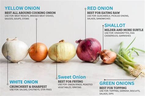 How does Yellow Onions, Fresh fit into your Daily Goals - calories, carbs, nutrition