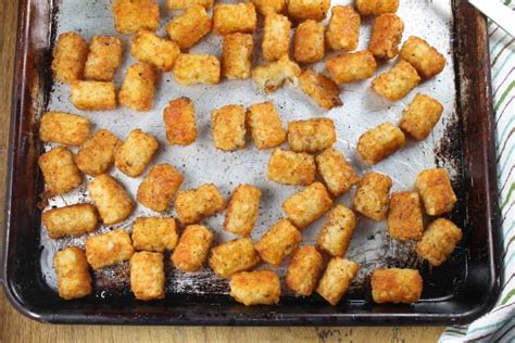 How does fried tater tots (8414.50) fit into your Daily Goals - calories, carbs, nutrition