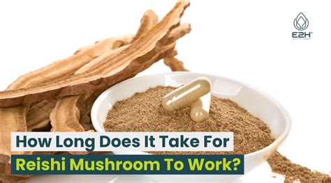 How long does it take to make mushroom rice?