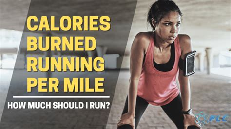 How many calories are in 02 performance - calories, carbs, nutrition