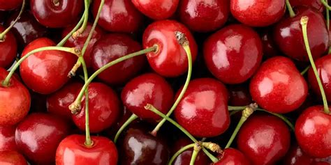 How many calories are in acerola, (west indian cherry), raw - calories, carbs, nutrition