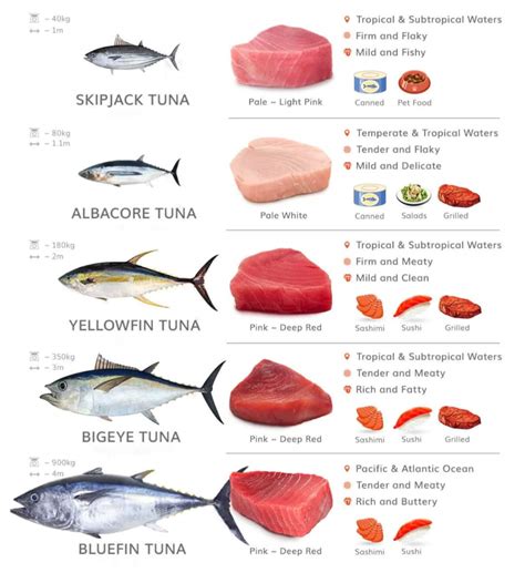 How many calories are in ahi tuna - calories, carbs, nutrition