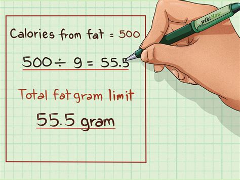 How many calories are in any fat - calories, carbs, nutrition