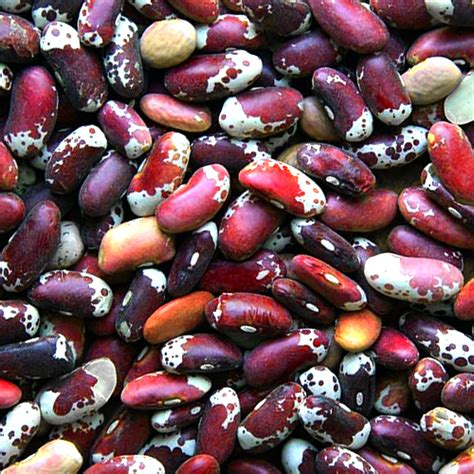 How many calories are in appaloosa beans & rice - calories, carbs, nutrition