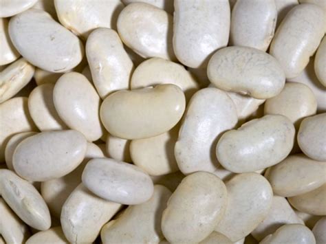 How many calories are in baby lima beans - calories, carbs, nutrition