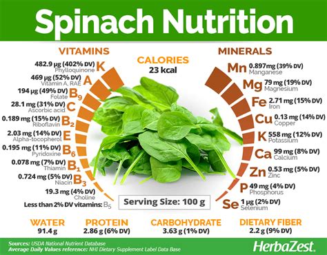 How many calories are in baby spinach - calories, carbs, nutrition