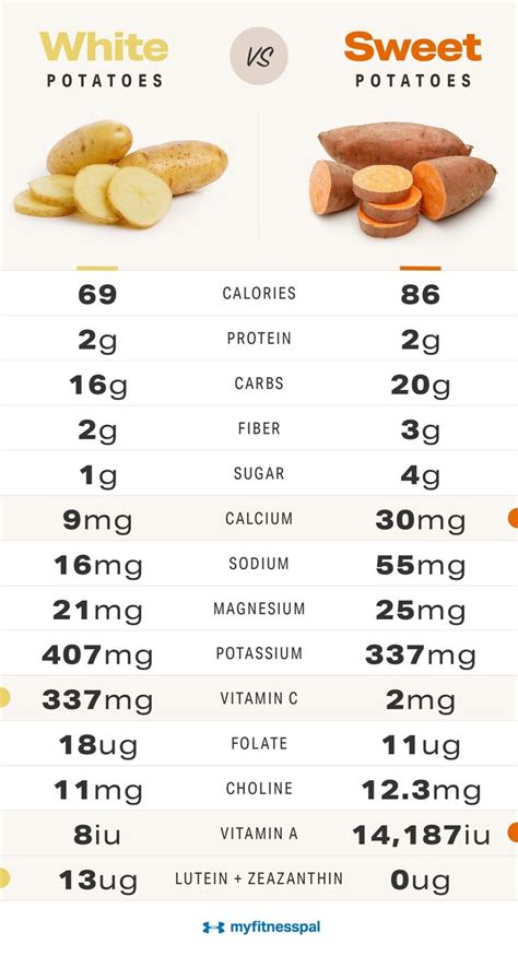 How many calories are in baked potato with fresh garden salad - calories, carbs, nutrition