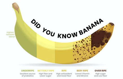 How many calories are in banana fritters & lemon sauce - calories, carbs, nutrition