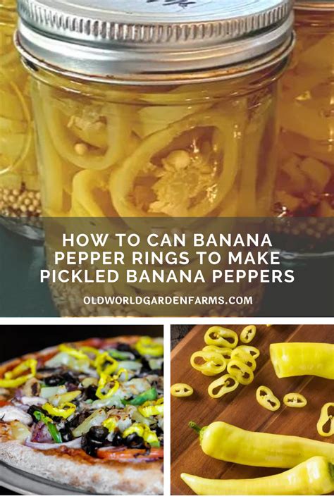 How many calories are in banana pepper rings (46017.25) - calories, carbs, nutrition