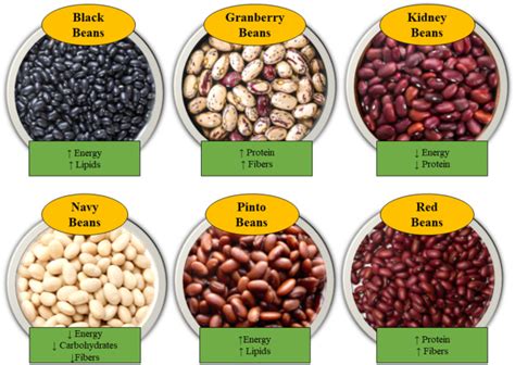 How many calories are in beans borracho - calories, carbs, nutrition