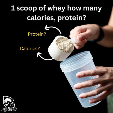 How many calories are in beverages, protein powder whey based - calories, carbs, nutrition