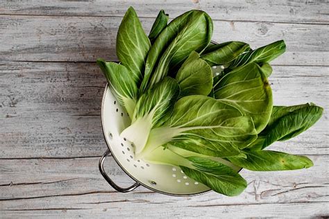 How many calories are in bok choy - calories, carbs, nutrition