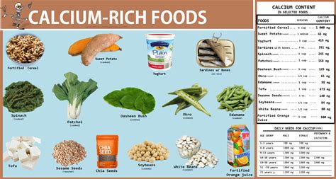 How many calories are in calcium - calories, carbs, nutrition