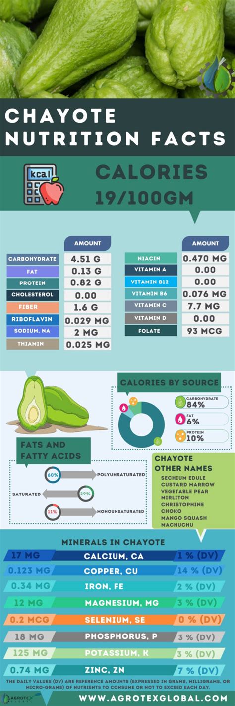 How many calories are in chayote squash - calories, carbs, nutrition