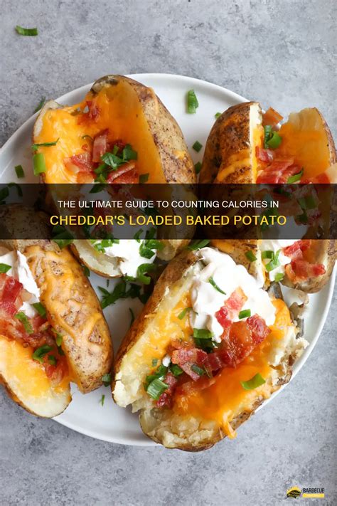 How many calories are in cheddar ciabatta - calories, carbs, nutrition