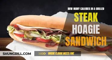 How many calories are in chicage steak hoagie (61885.0) - calories, carbs, nutrition