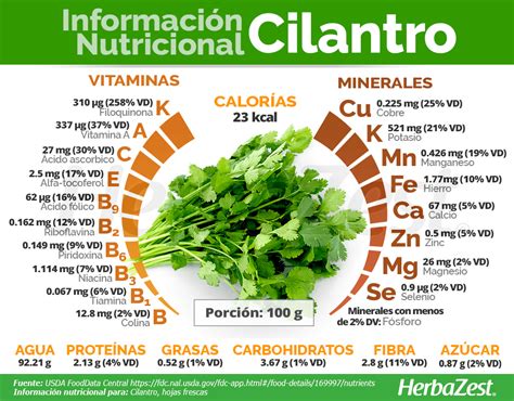 How many calories are in cilantro cream - calories, carbs, nutrition