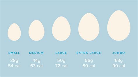 How many calories are in clara de huevo - calories, carbs, nutrition