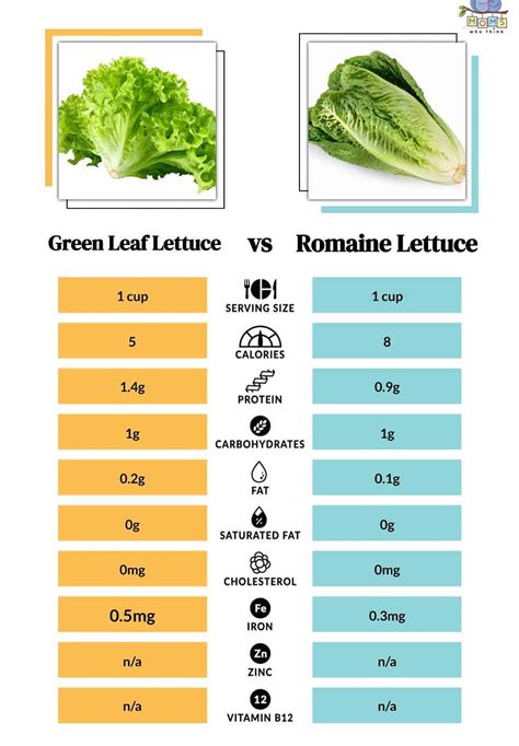 How many calories are in cos lerttuce - calories, carbs, nutrition